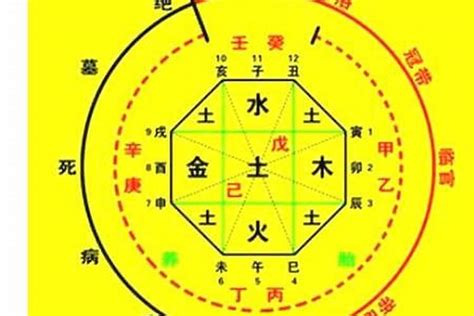 八字 十神 查詢|八字十神测试免费,四柱十神算命免费详批